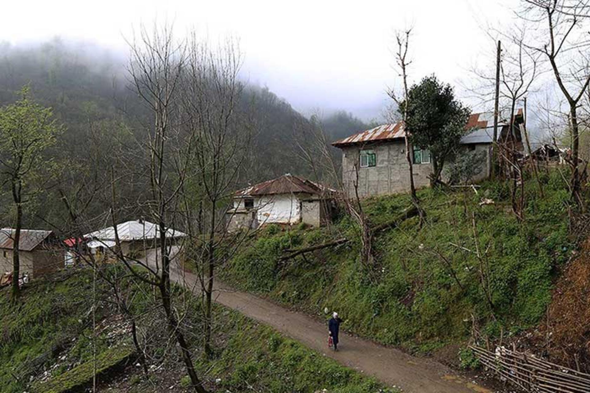 منطقه تنیان