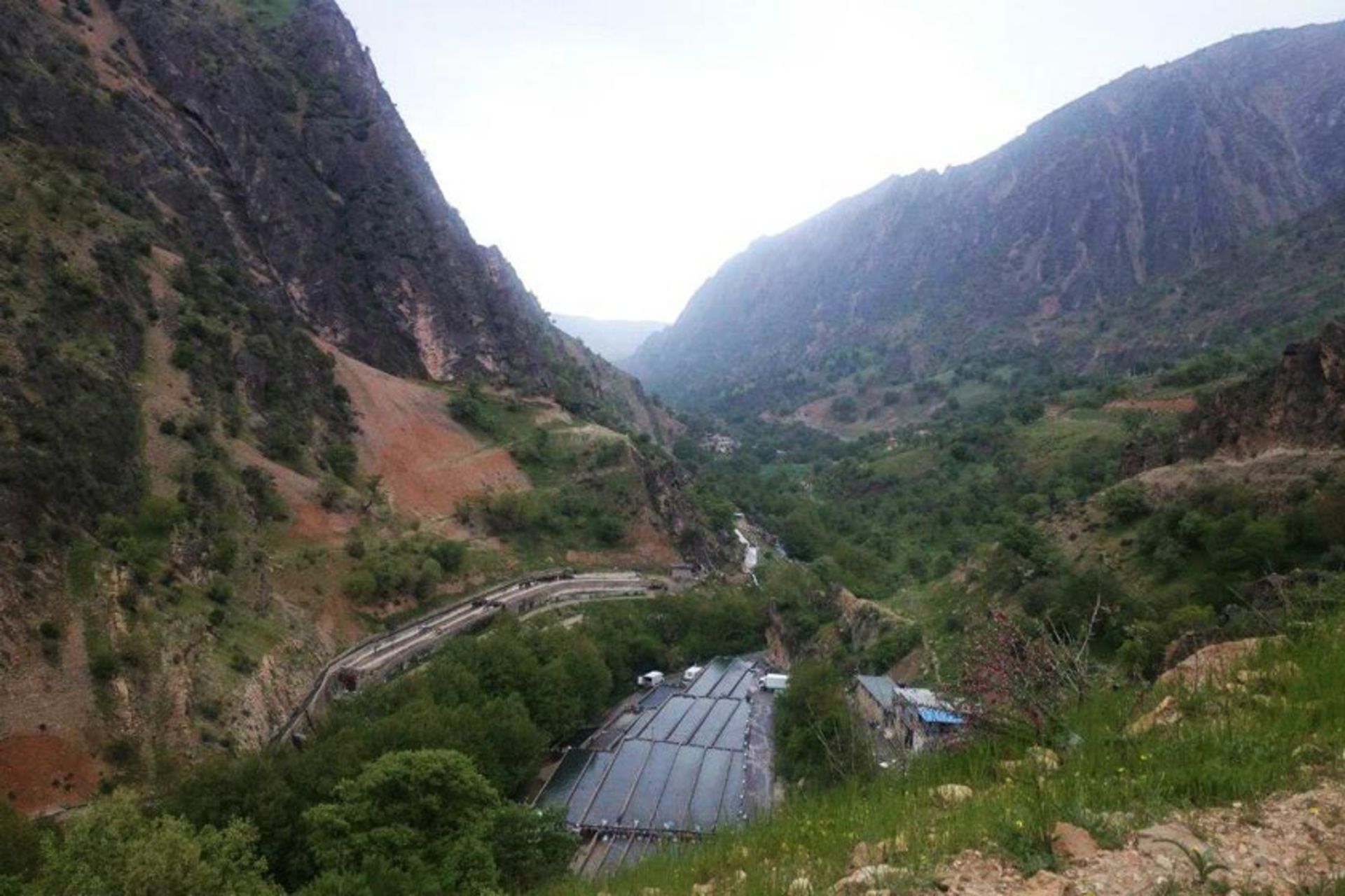 پارک جنگلی پروز