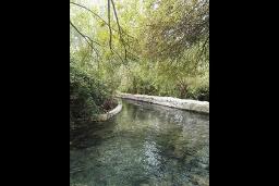 چشمه سندگان