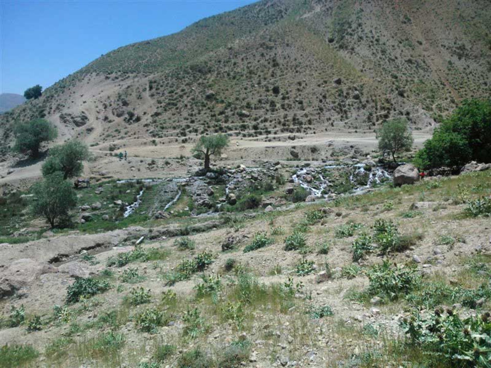 بروجرد