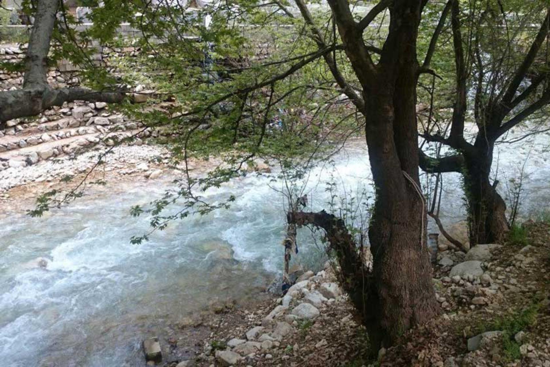 پارک جنگلی پروز