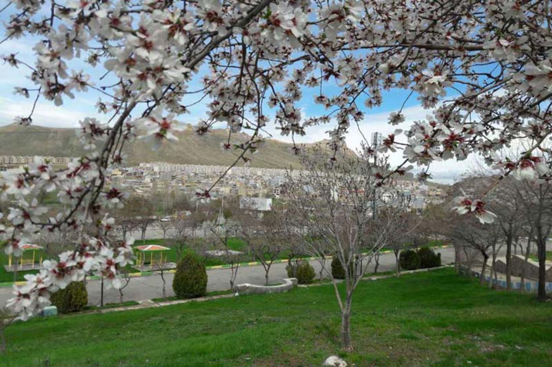 بیجار