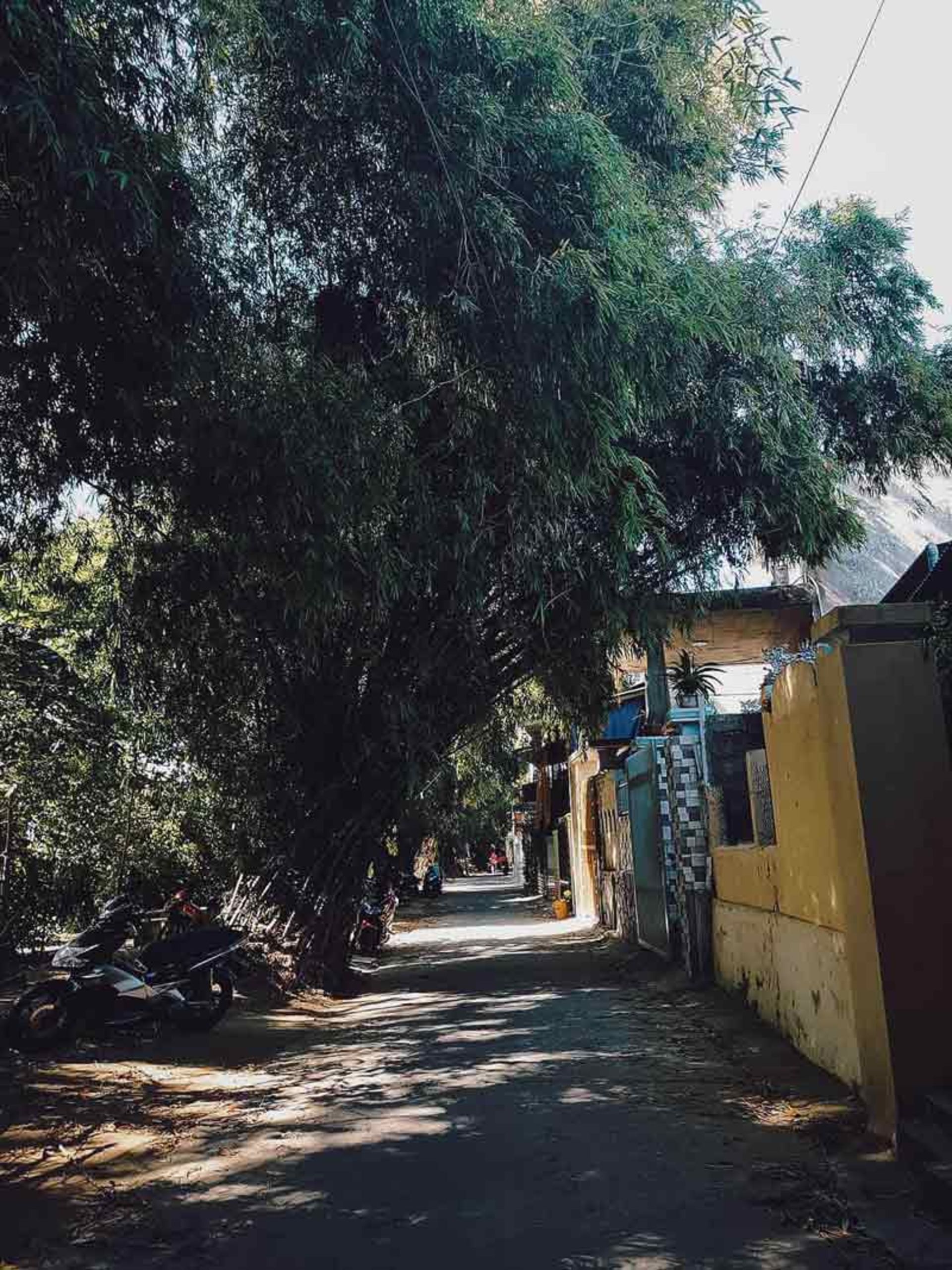 جزیره «کُن هِن»