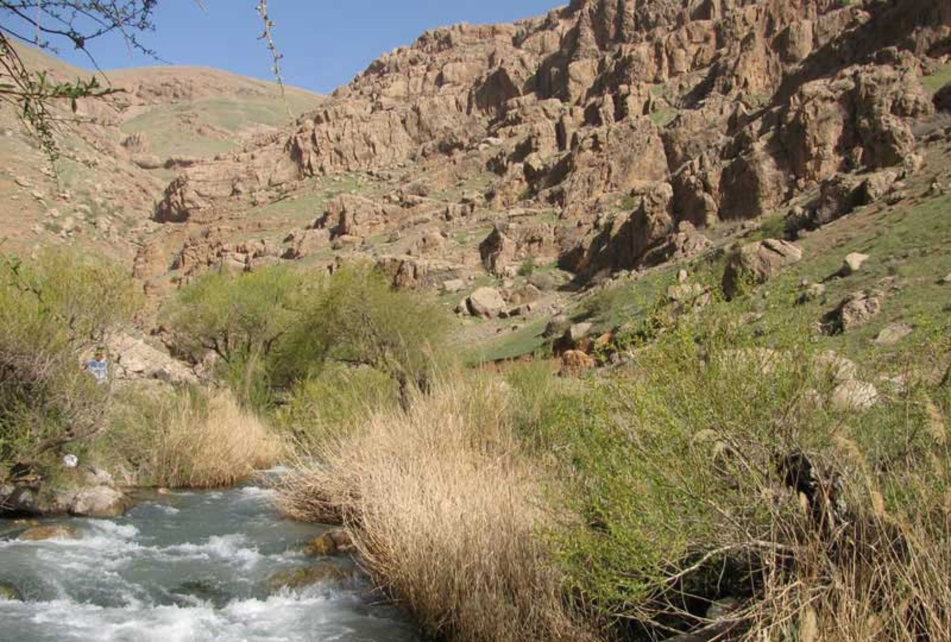 بروجرد