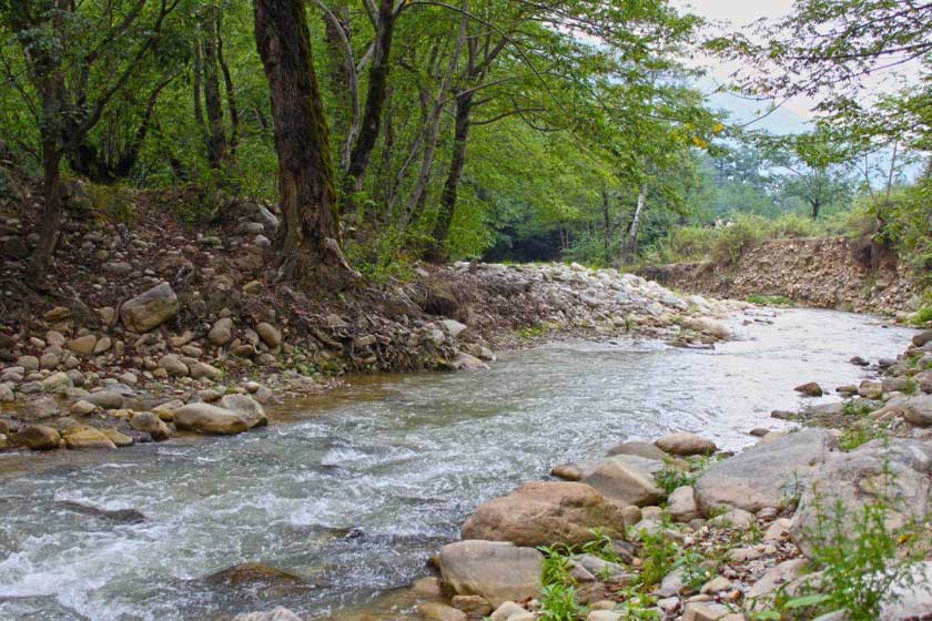  آق چشمه مینودشت