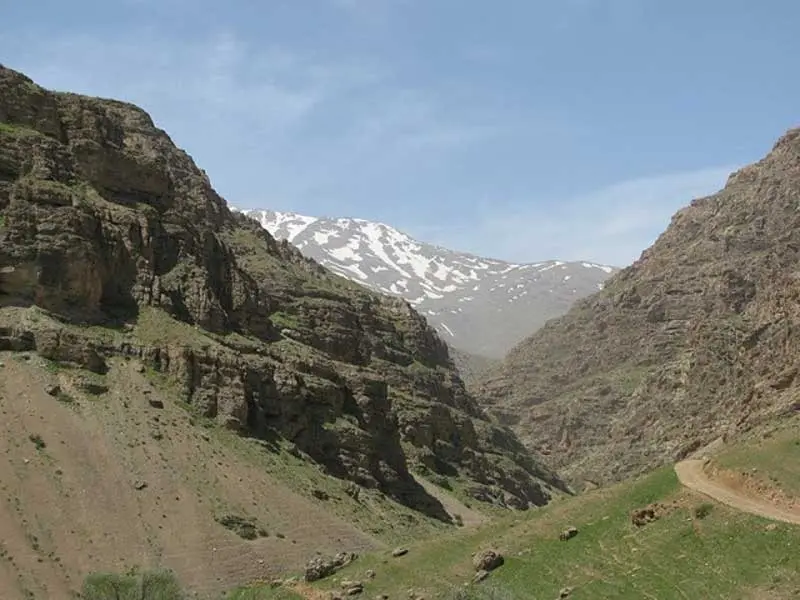 بروجرد
