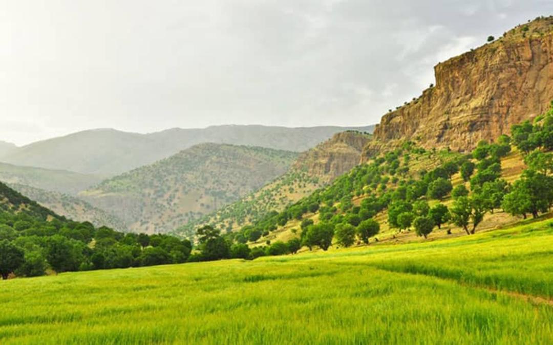 منطقه حفاظت شده هلن