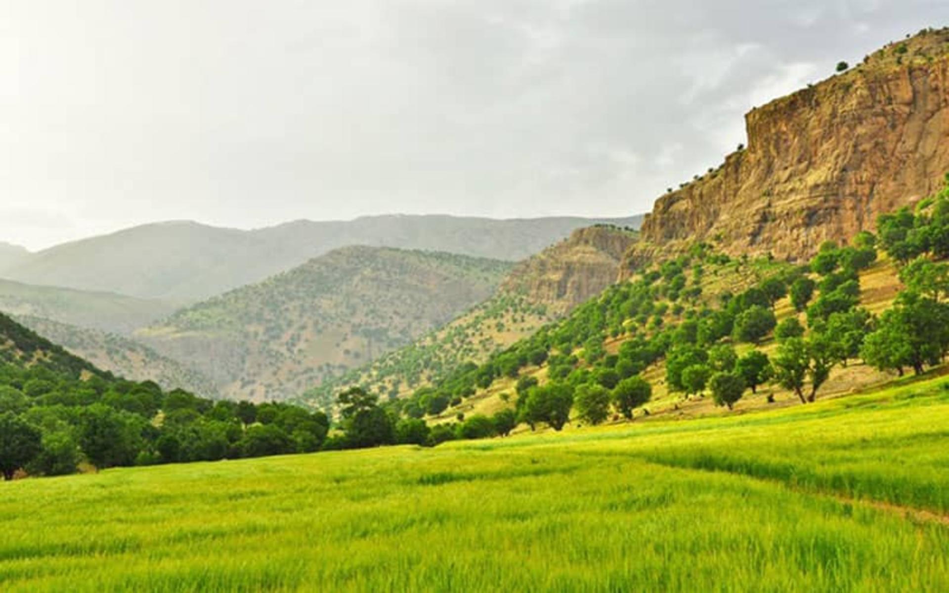 منطقه حفاظت شده هلن