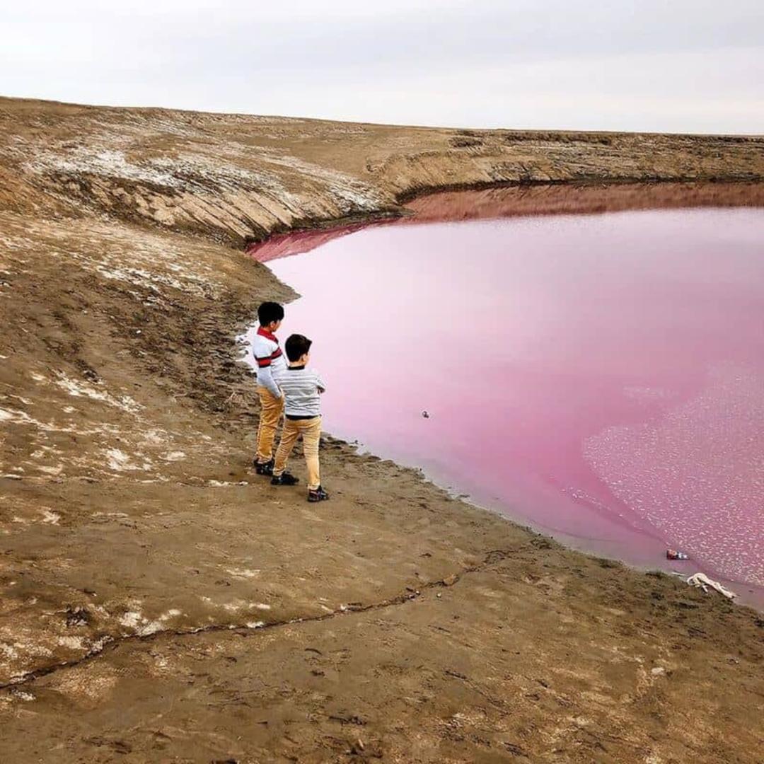 بهترین زمان دیدن گلفشان نفتلیجه