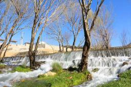 گردشگاه چشمه ‌زنه هفشجان