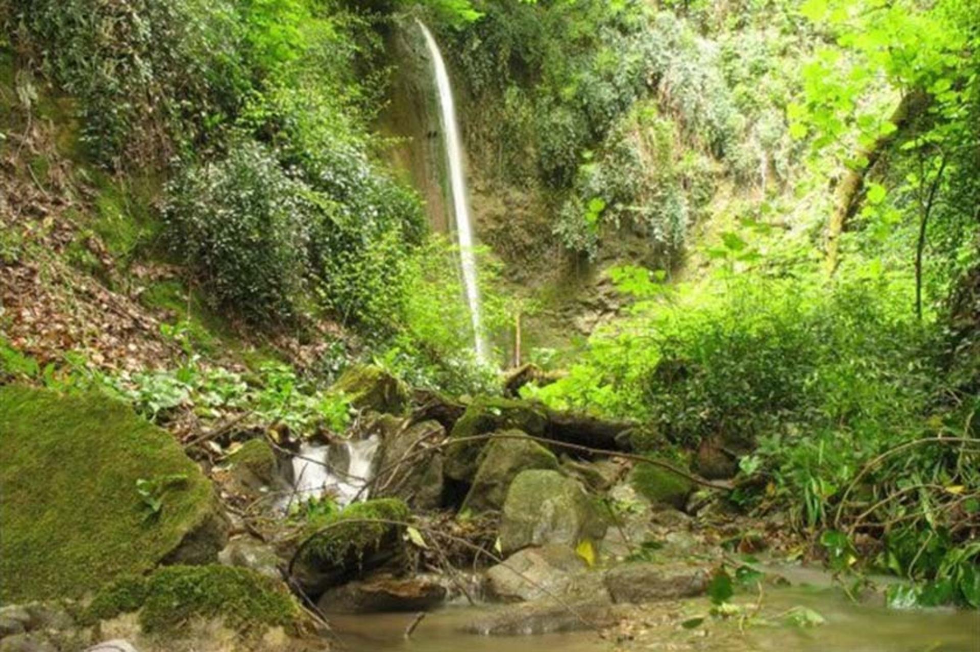 چشمه سید کلاته