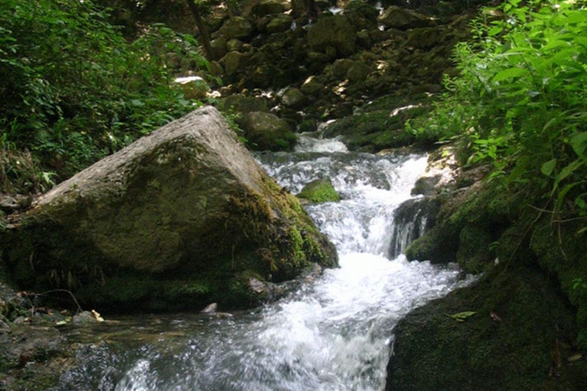 چشمه زاو