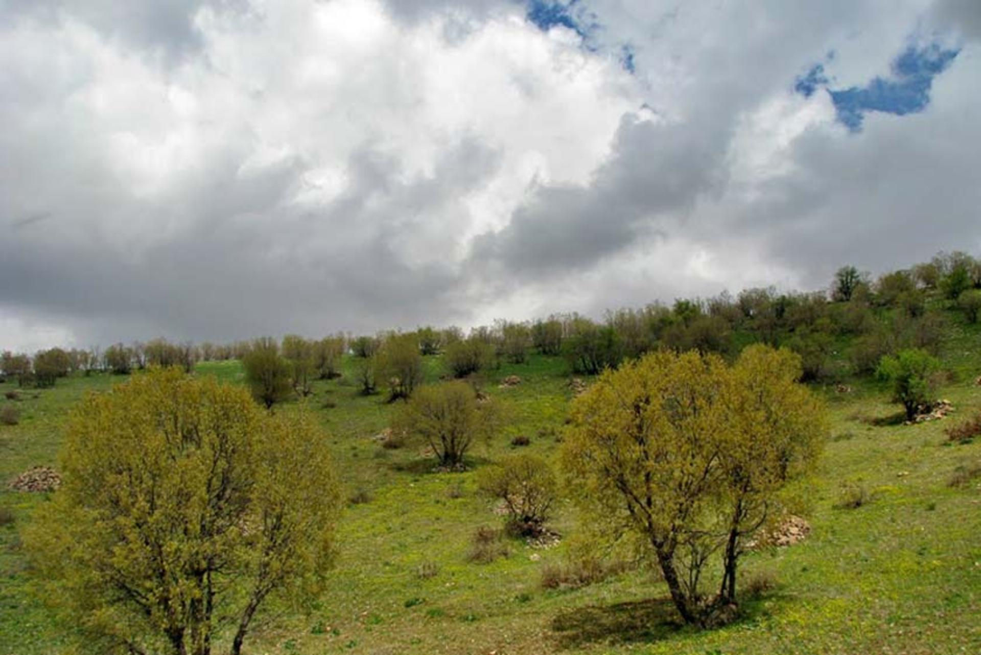 منطقه حفاظت ‌شده کوسالان و شاهو 