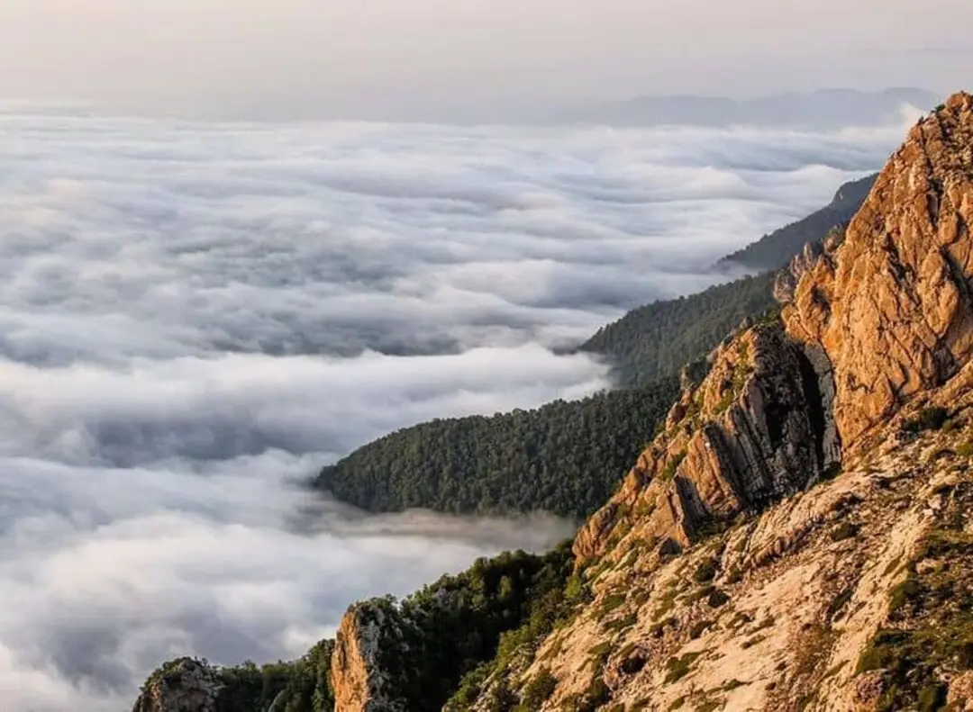 اوپرت- سمنان و مازندران