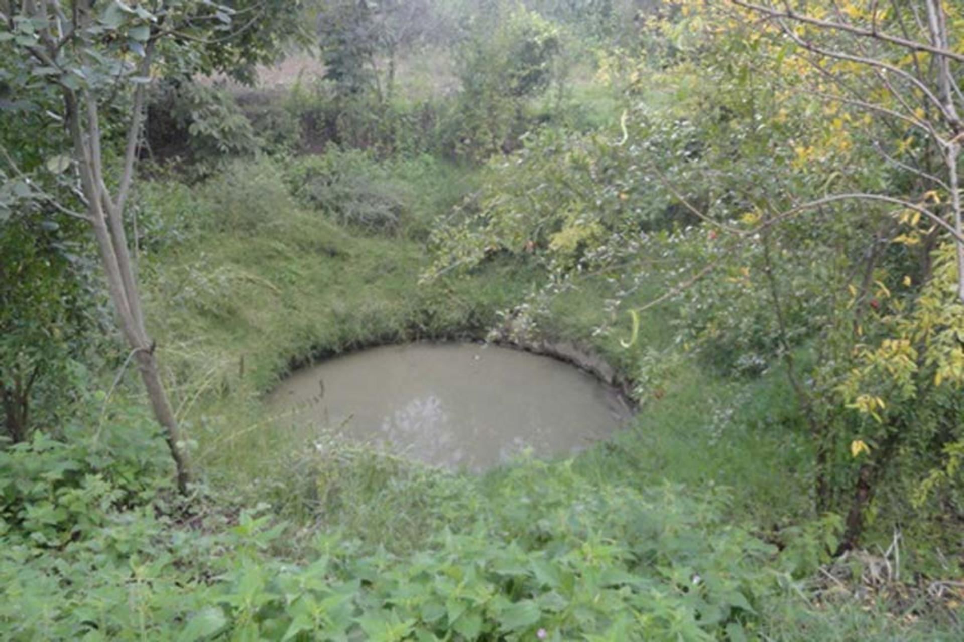 چشمه بلبل