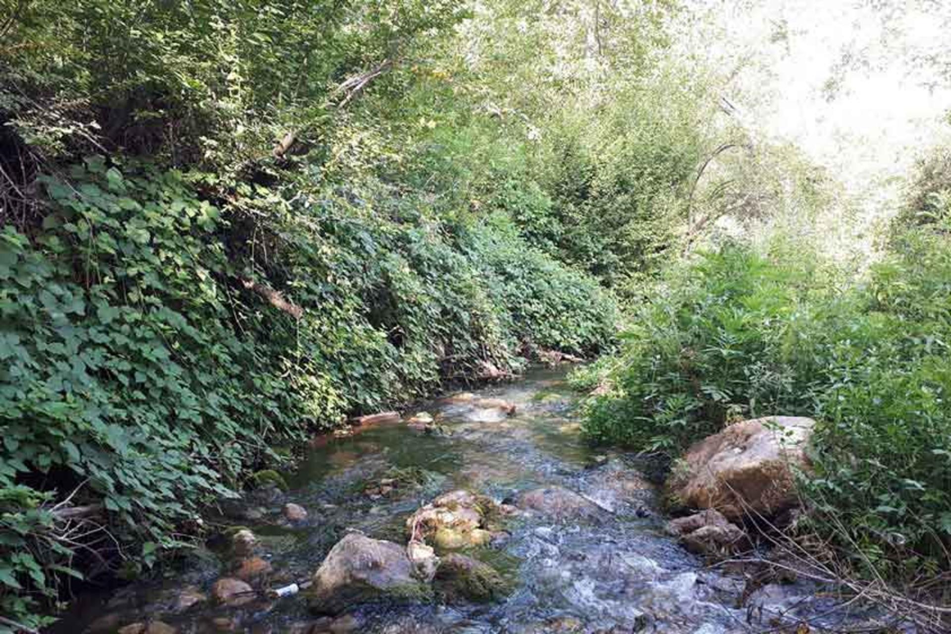 روستای نسمه