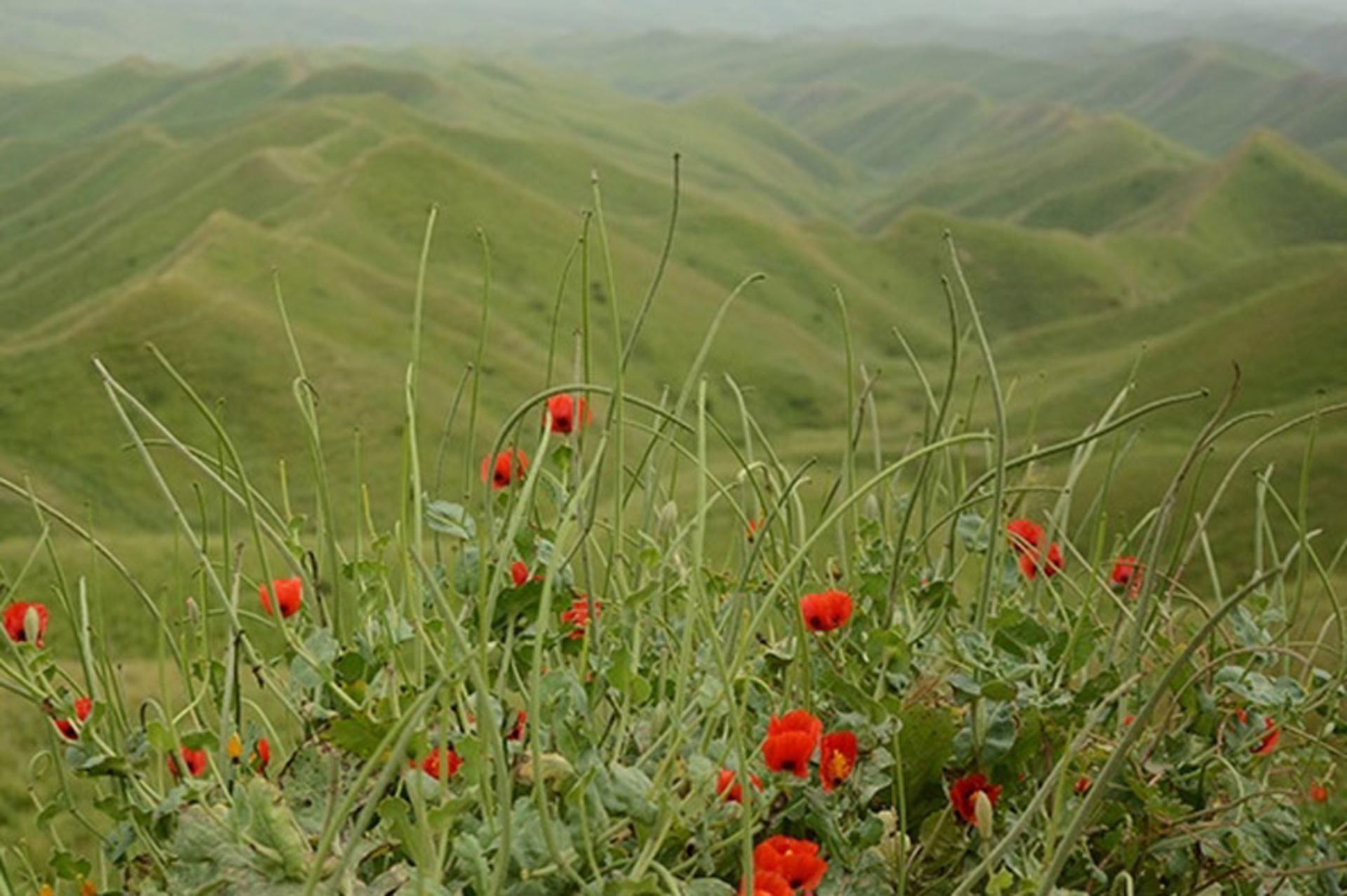 روستای گچی سو بالا