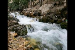چشمه میلاس