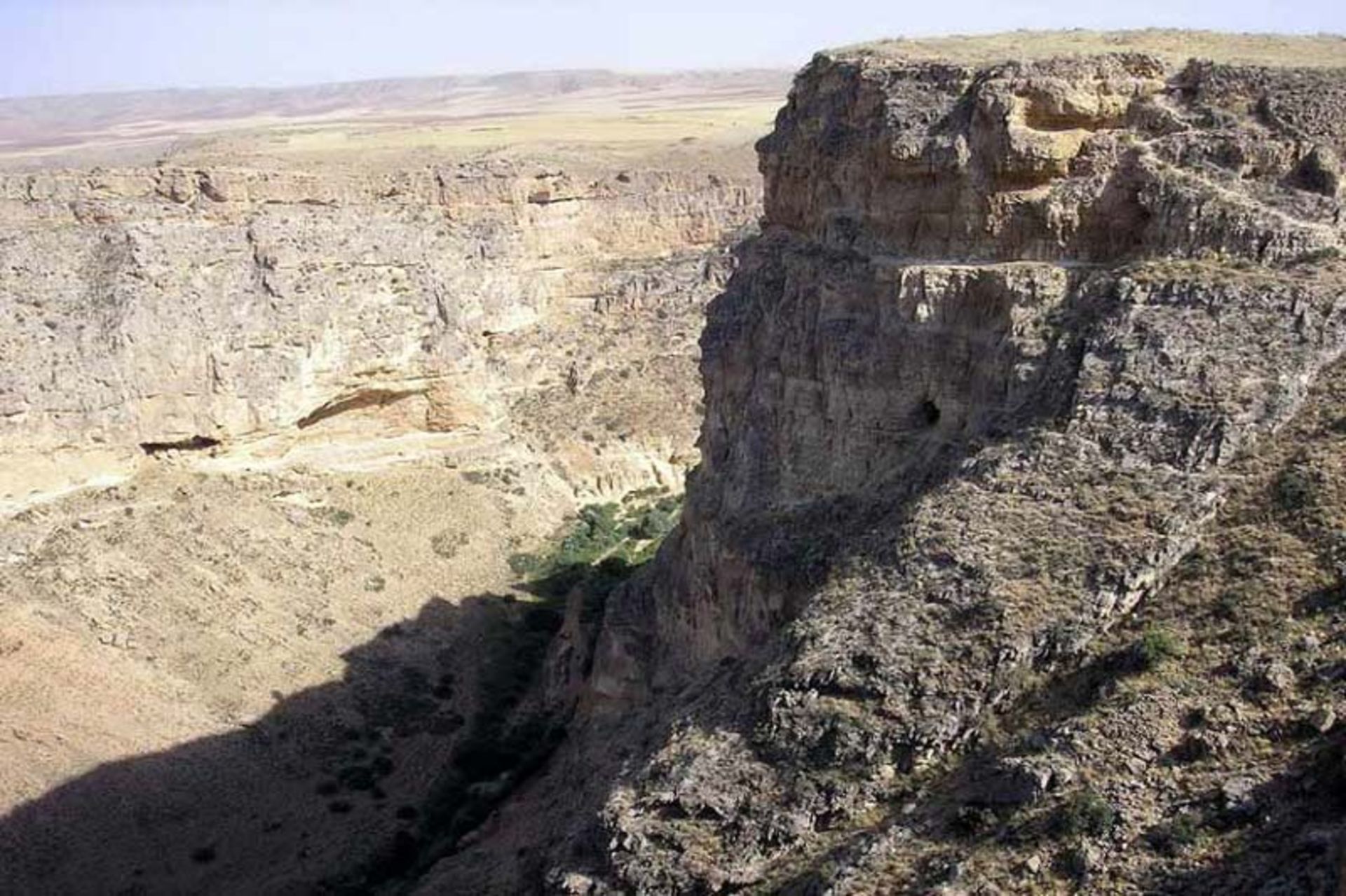 بیجار