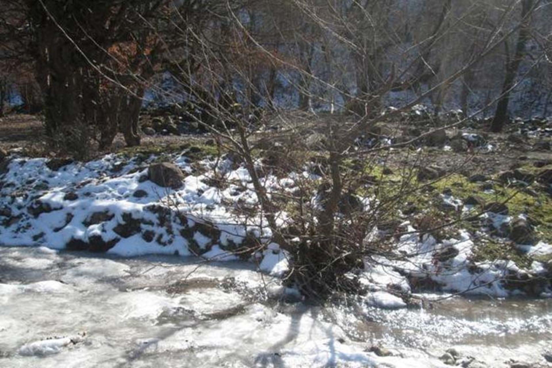 چشمه نیلبرگ