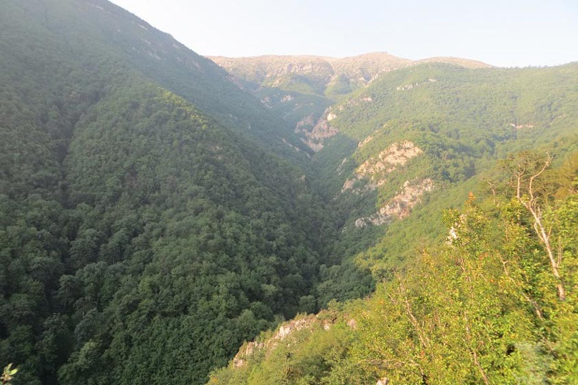 کوه تل انبار