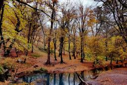 چشمه لال