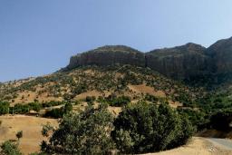 پارک جنگلی شیاسی