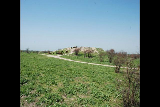 شاه تپه یساقی