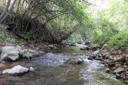 روستای نسمه