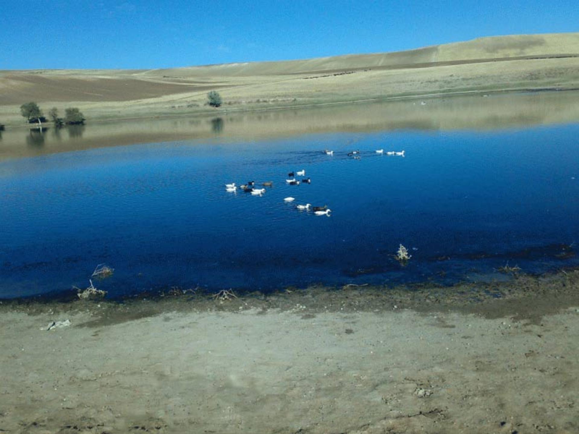 هشترود