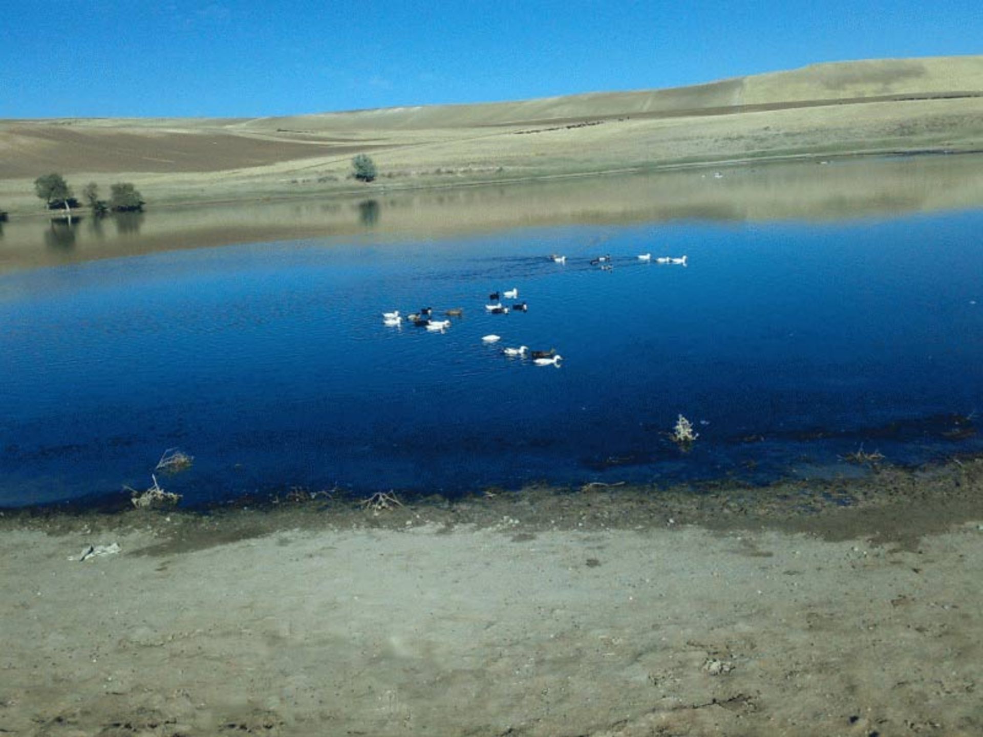 هشترود