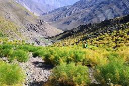 روستای لالون