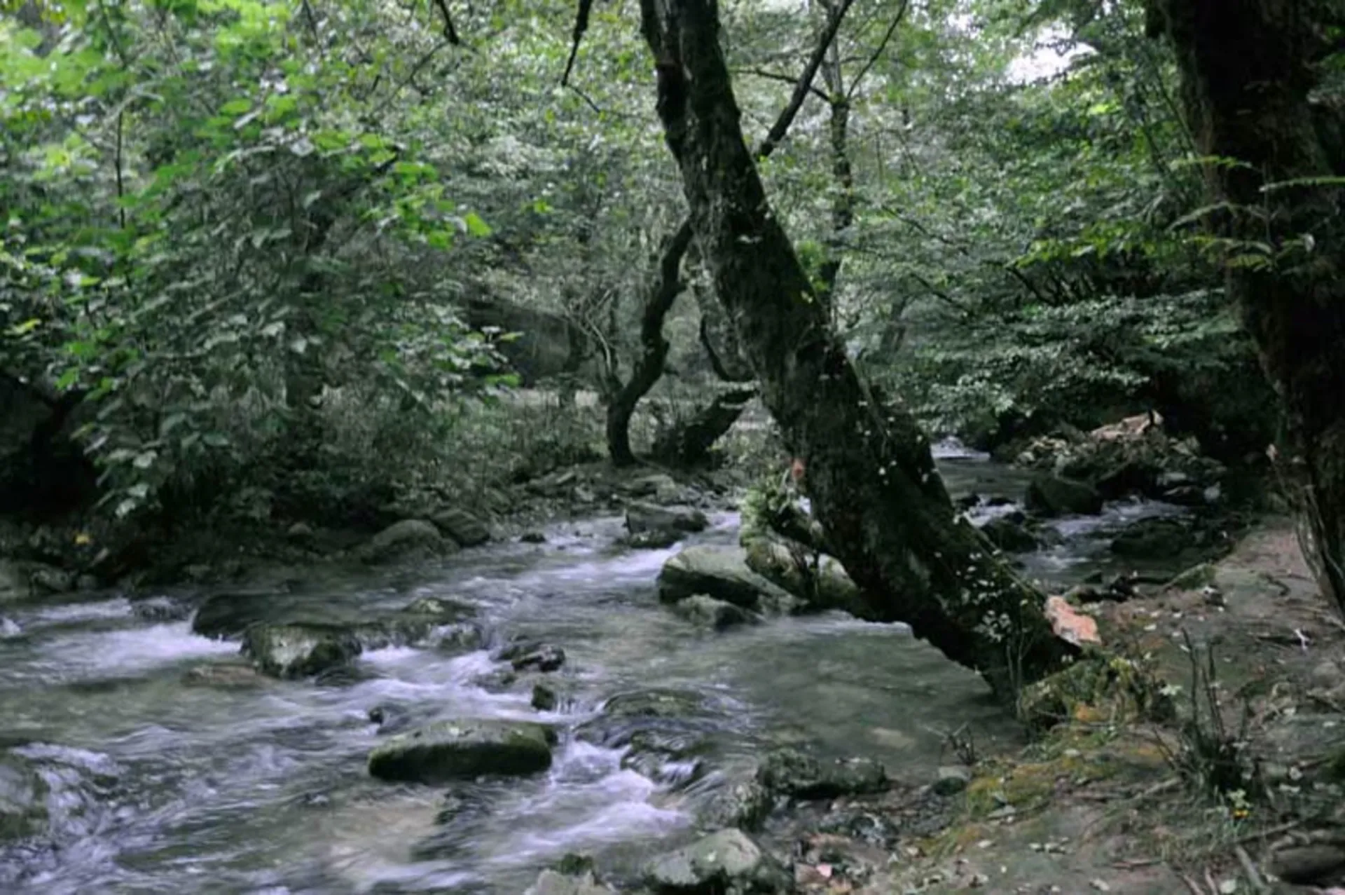 دیورش