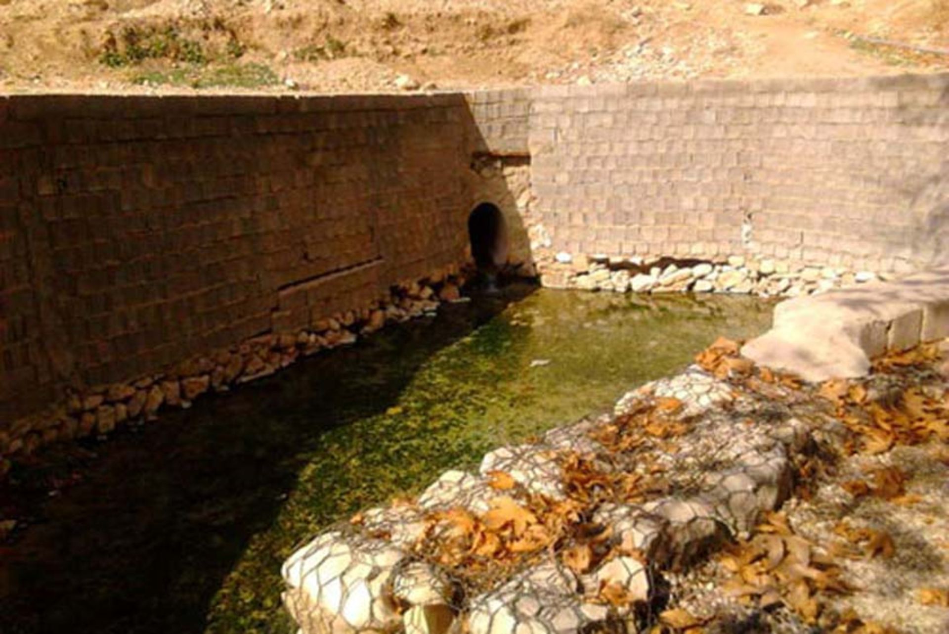 چشمه سرخون