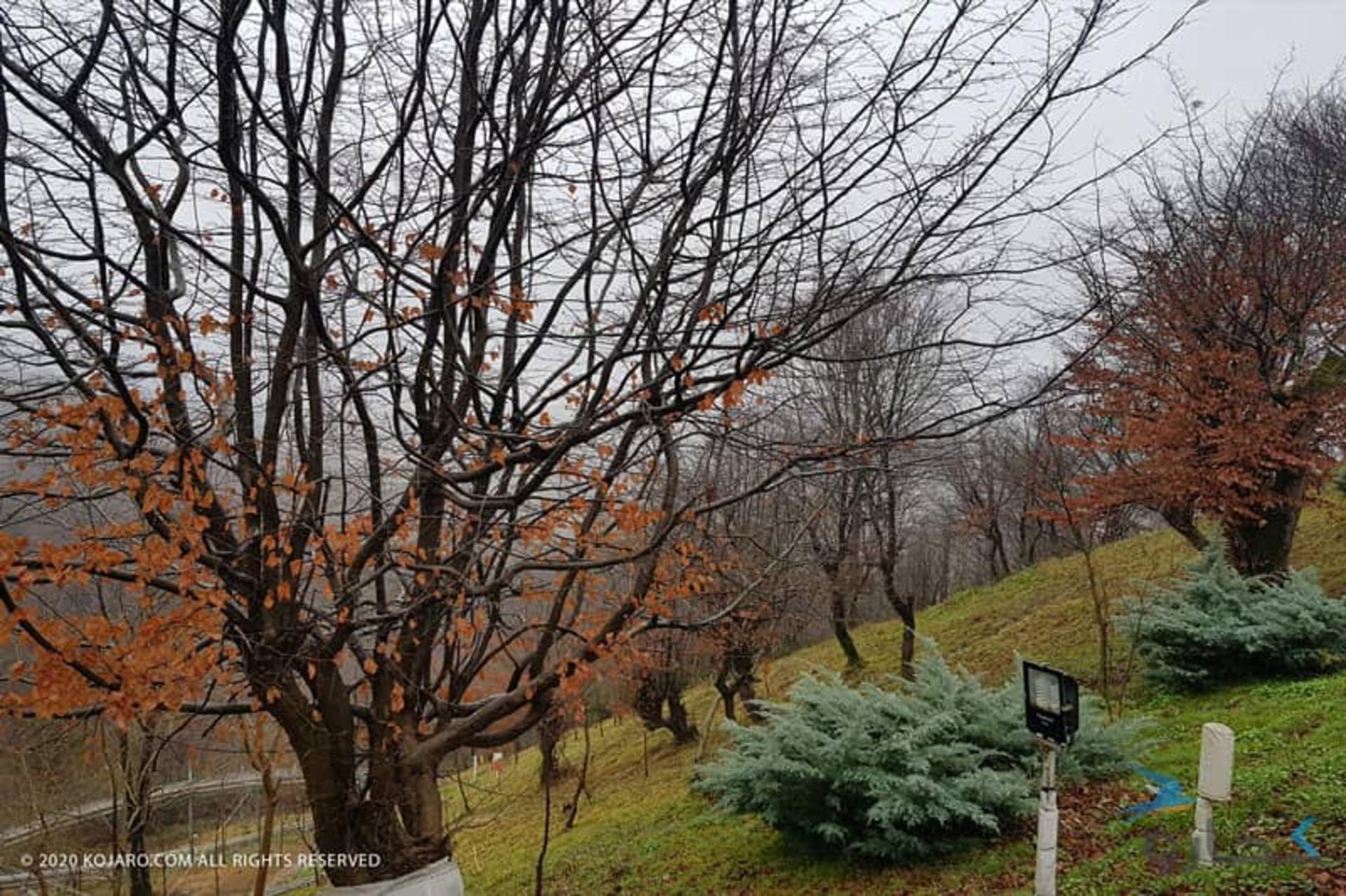 طبیعت پاییزی پارک جنگلی سیاهداران