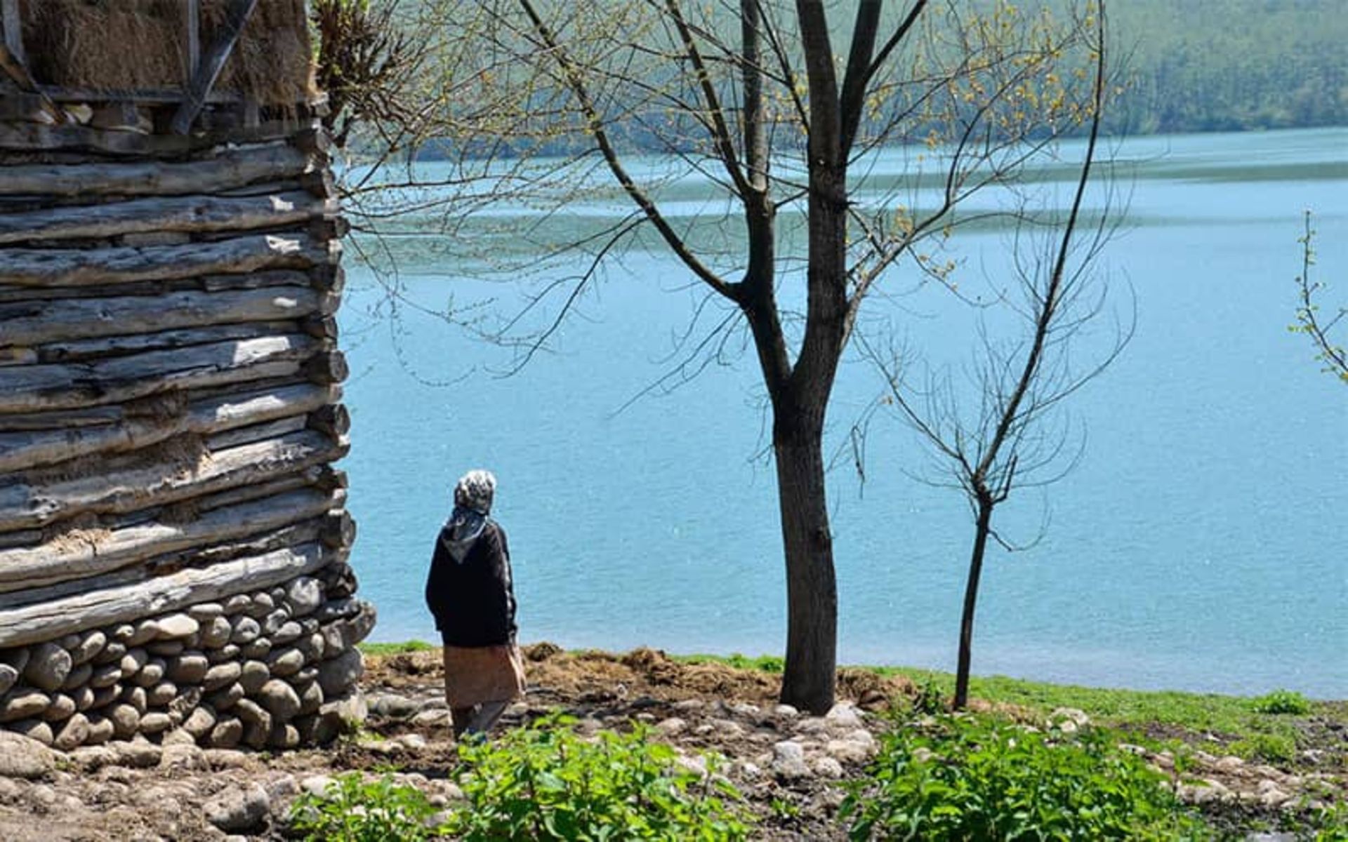 سد لفور
