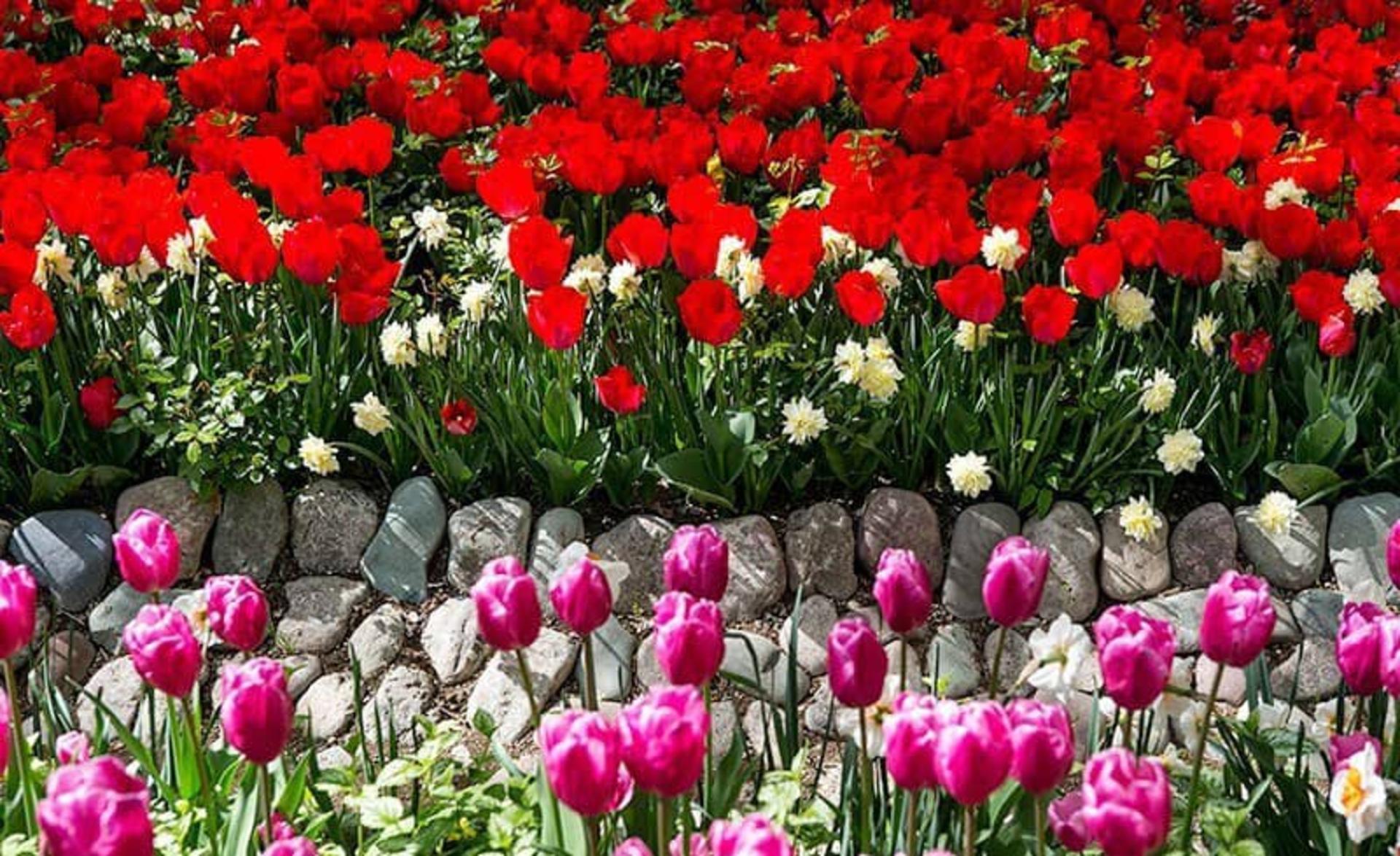 باغ ایرانی 