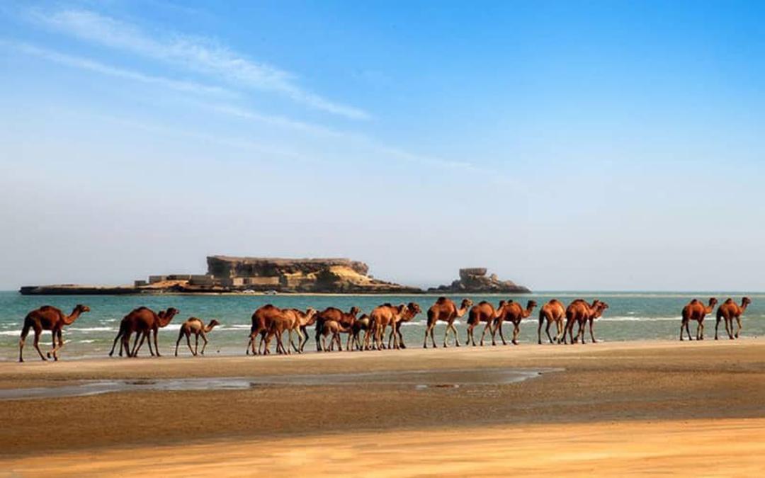 جزایر ناز