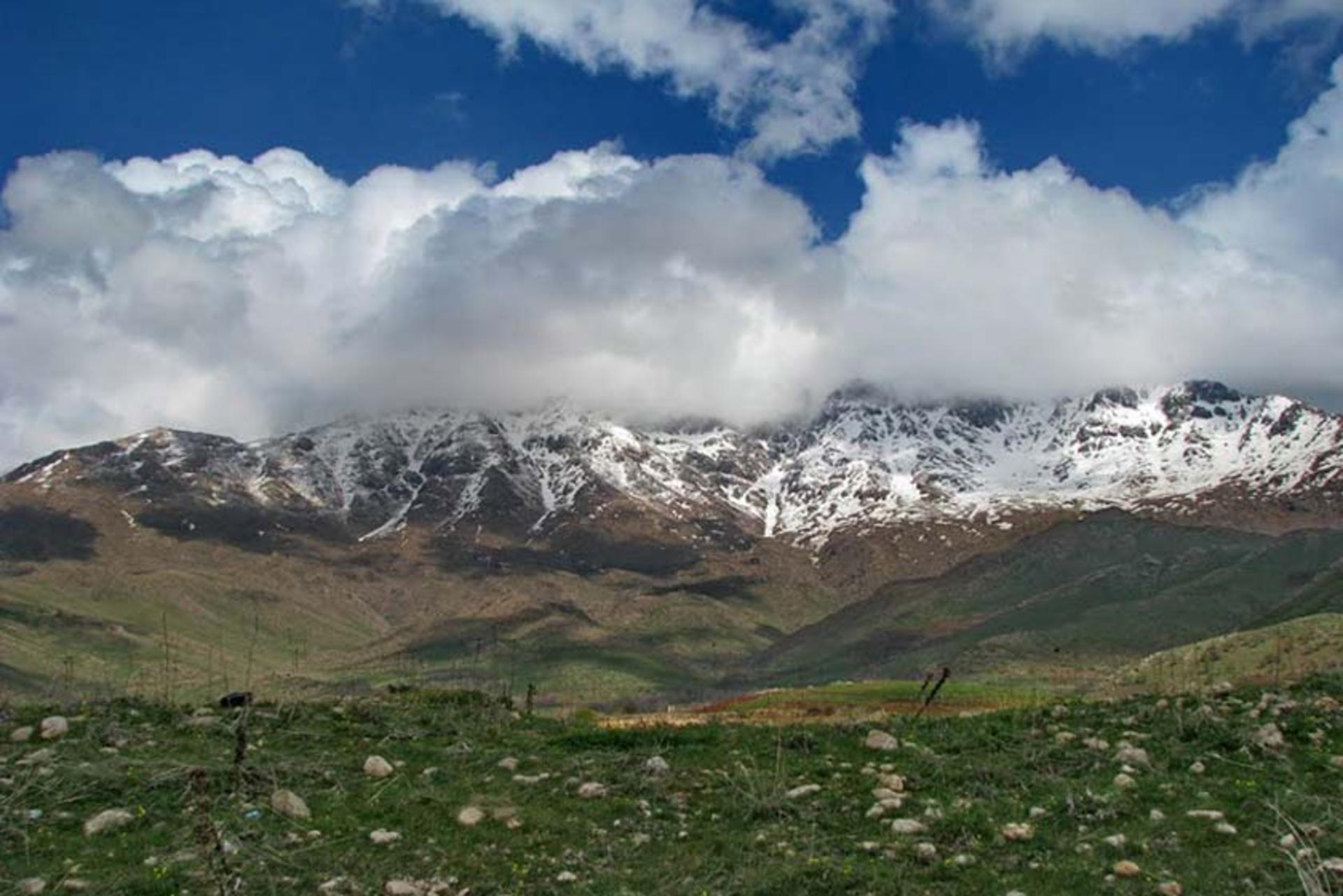 منطقه حفاظت ‌شده کوسالان و شاهو 