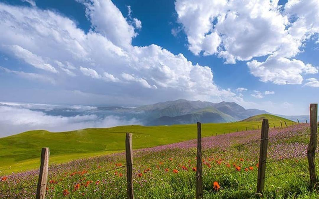 بهترین زمان سفر به شکردشت