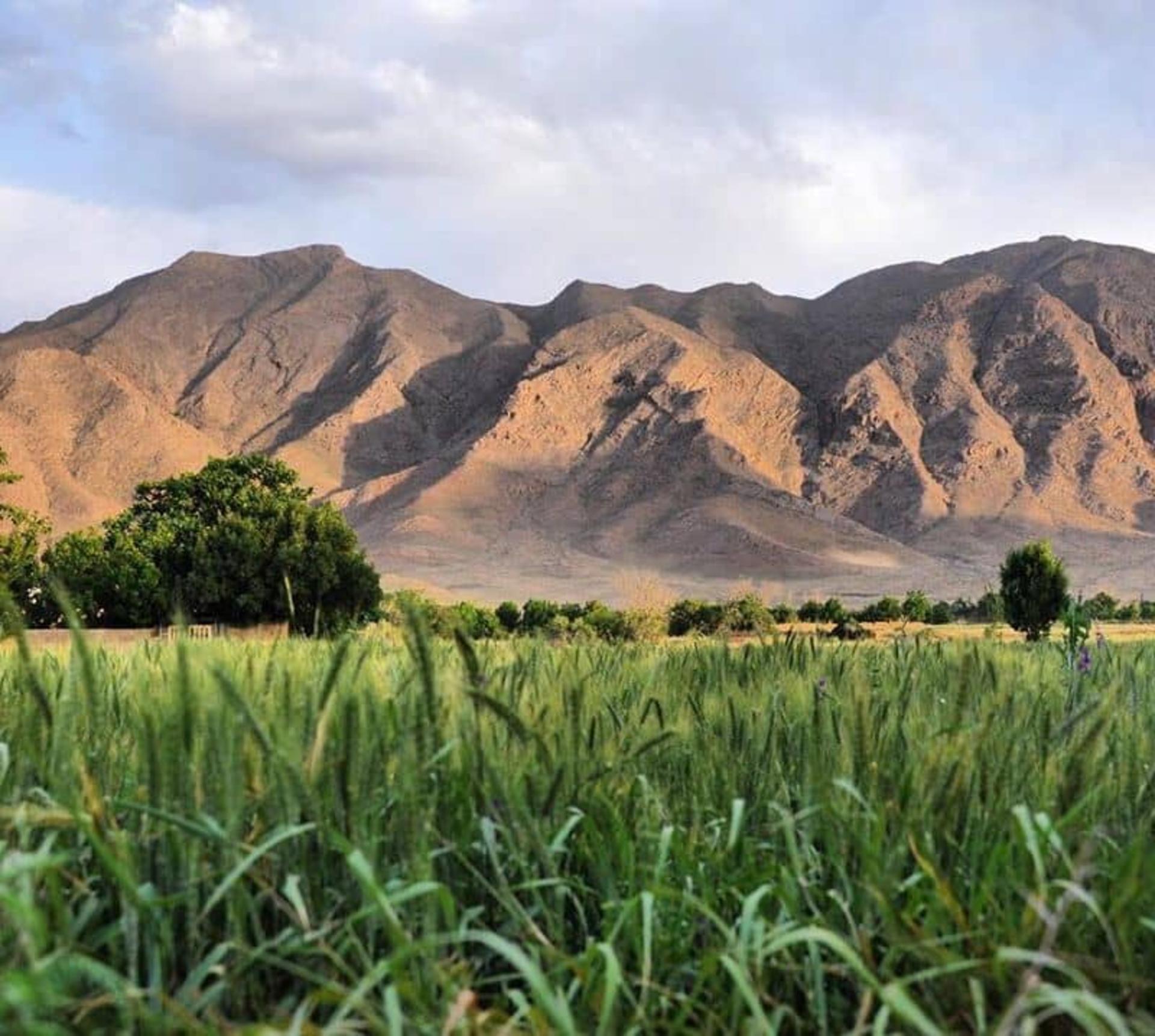 معنی خورهه