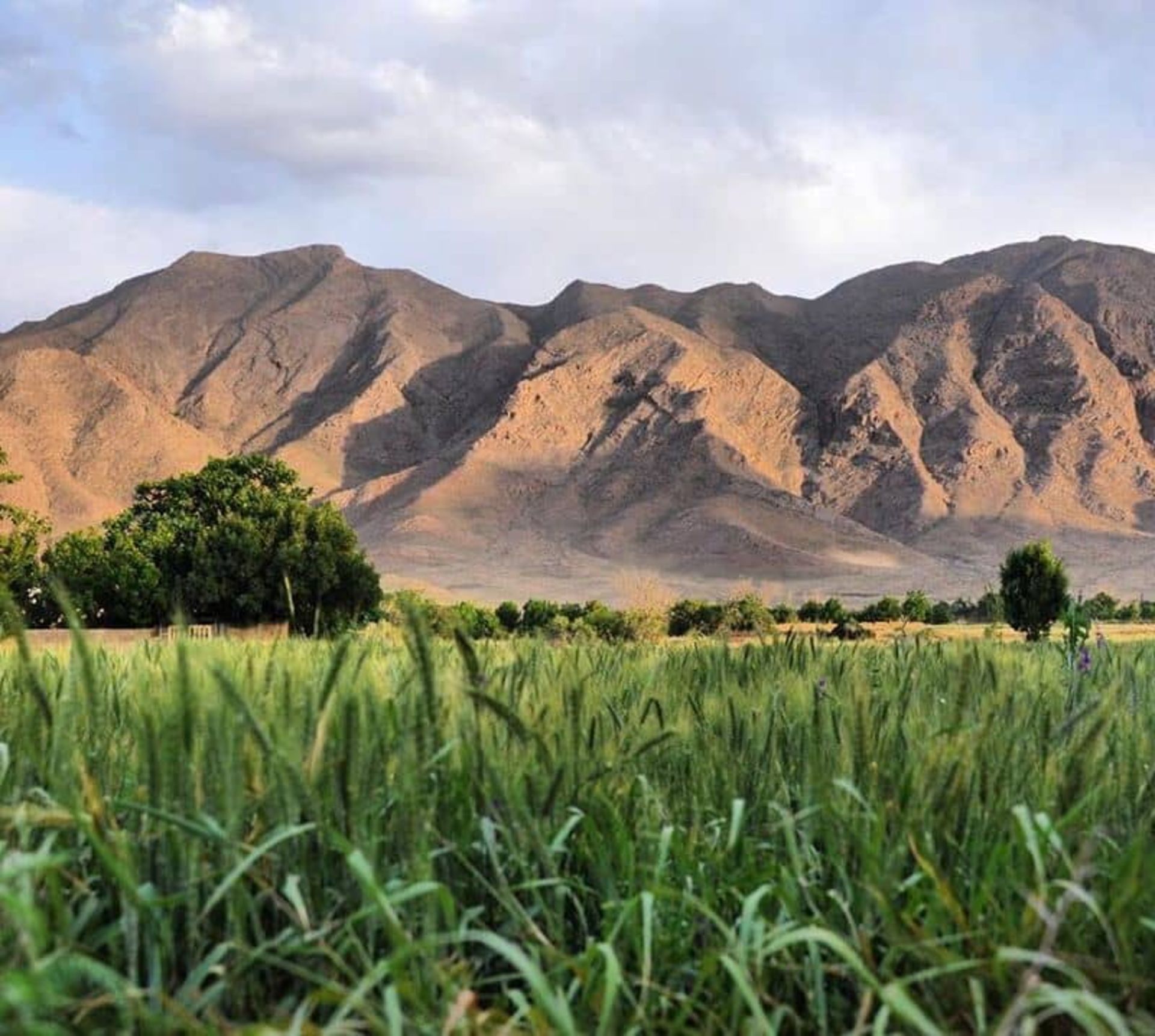 معنی خورهه
