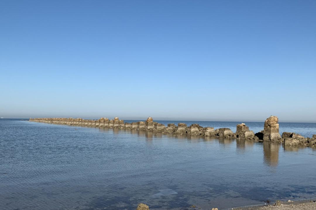 جزیره عباسک