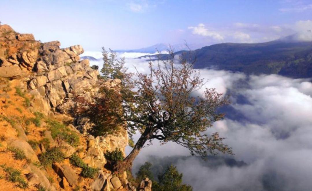 روستای ولگسر