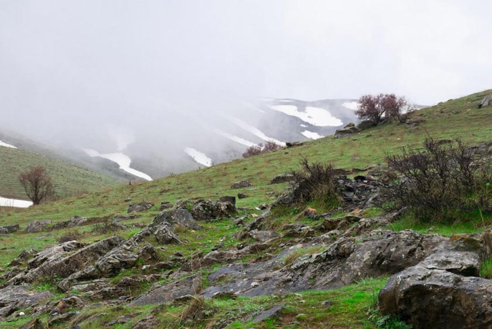 کوه سلطان یعقوب