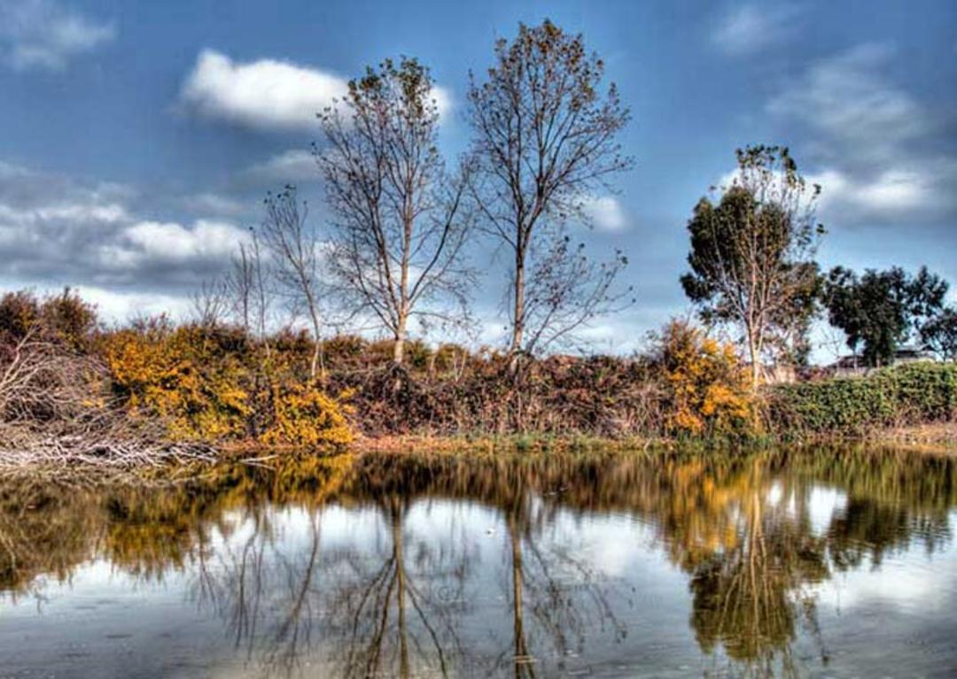دشت ناز