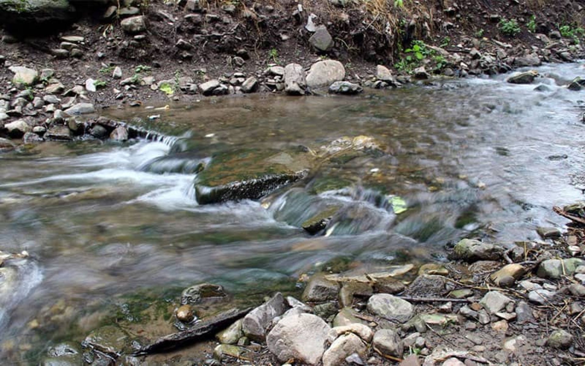 جنگل رودبارک سمنان