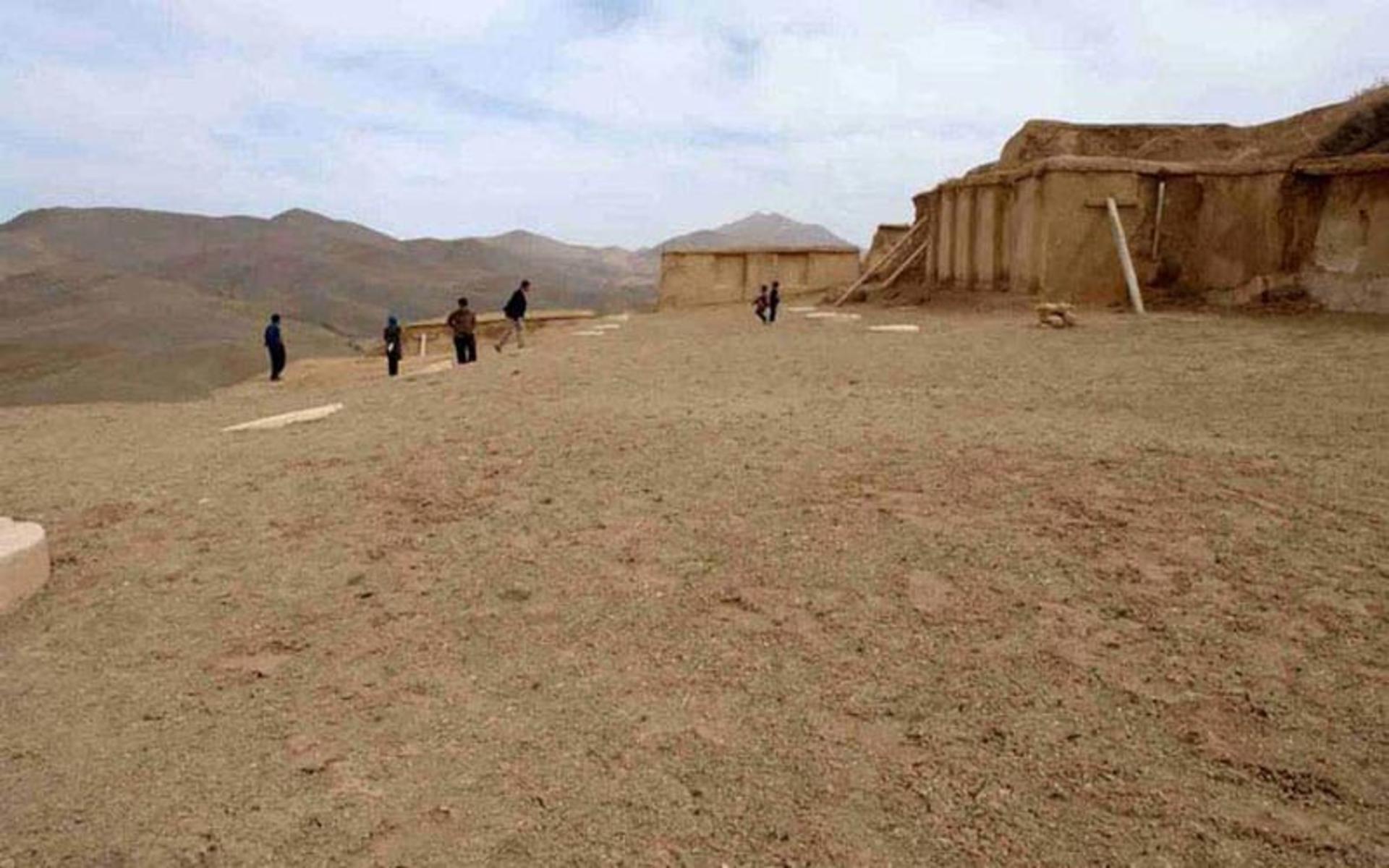 زیویه