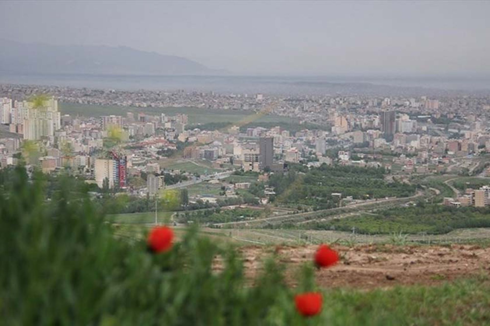 کوه سیر (سیر داغی)