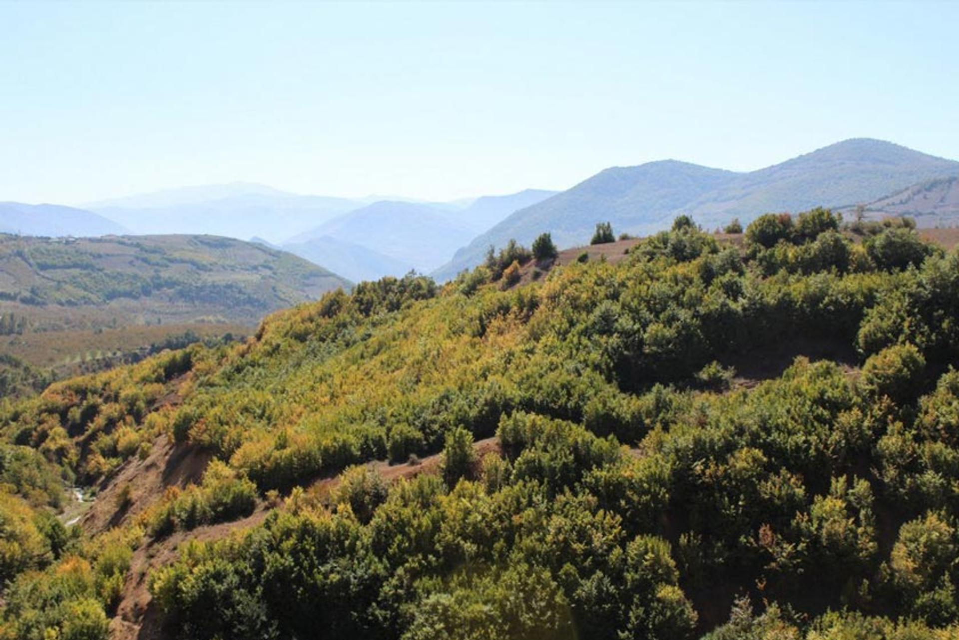 روستای ییلاقی خصیل دشت